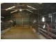 5845 Canowindra  Rd, Cudal NSW 2864