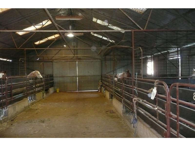 5845 Canowindra  Rd, Cudal NSW 2864