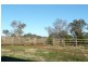 5845 Canowindra  Rd, Cudal NSW 2864