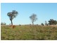 5845 Canowindra  Rd, Cudal NSW 2864