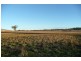 5845 Canowindra  Rd, Cudal NSW 2864