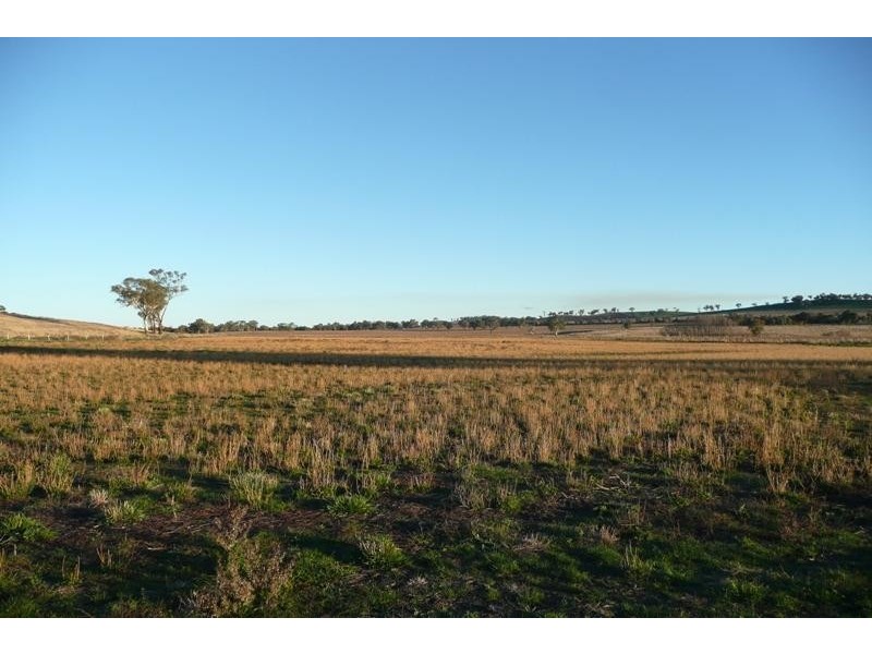 5845 Canowindra  Rd, Cudal NSW 2864