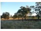 5845 Canowindra  Rd, Cudal NSW 2864