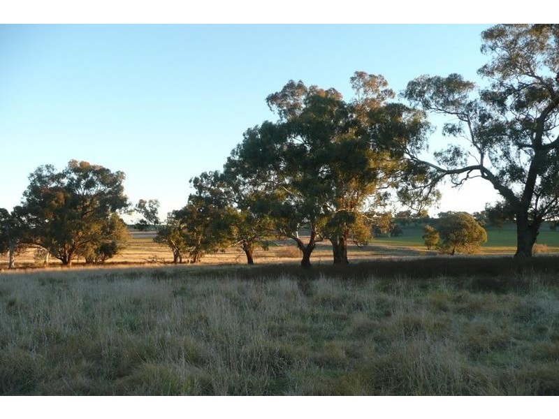 5845 Canowindra  Rd, Cudal NSW 2864