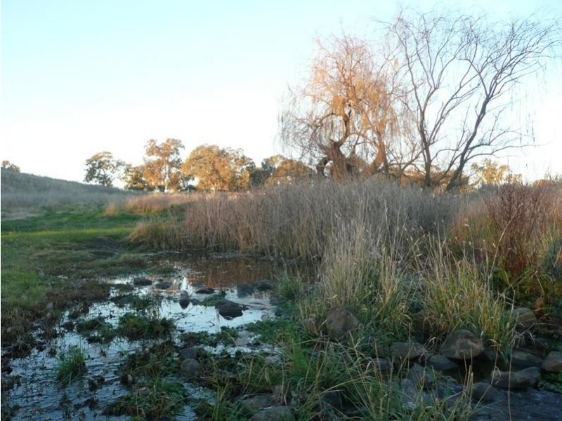 5845 Canowindra  Rd, Cudal NSW 2864
