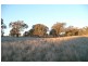 5845 Canowindra  Rd, Cudal NSW 2864