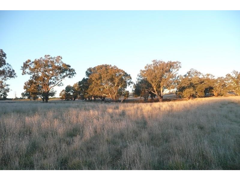 5845 Canowindra  Rd, Cudal NSW 2864