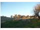 5845 Canowindra  Rd, Cudal NSW 2864