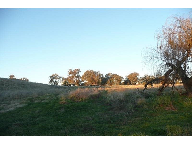 5845 Canowindra  Rd, Cudal NSW 2864