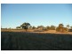 5845 Canowindra  Rd, Cudal NSW 2864