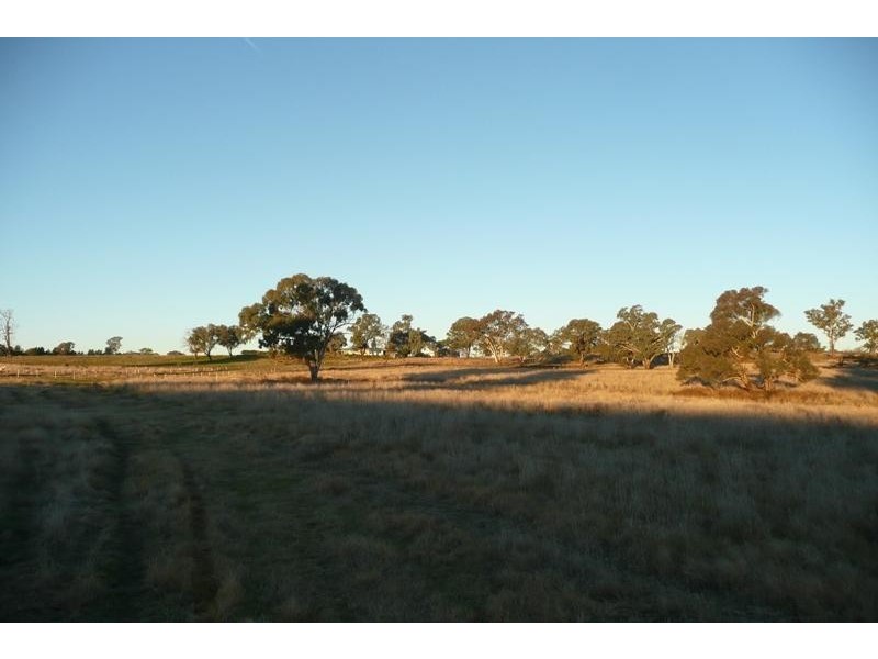 5845 Canowindra  Rd, Cudal NSW 2864