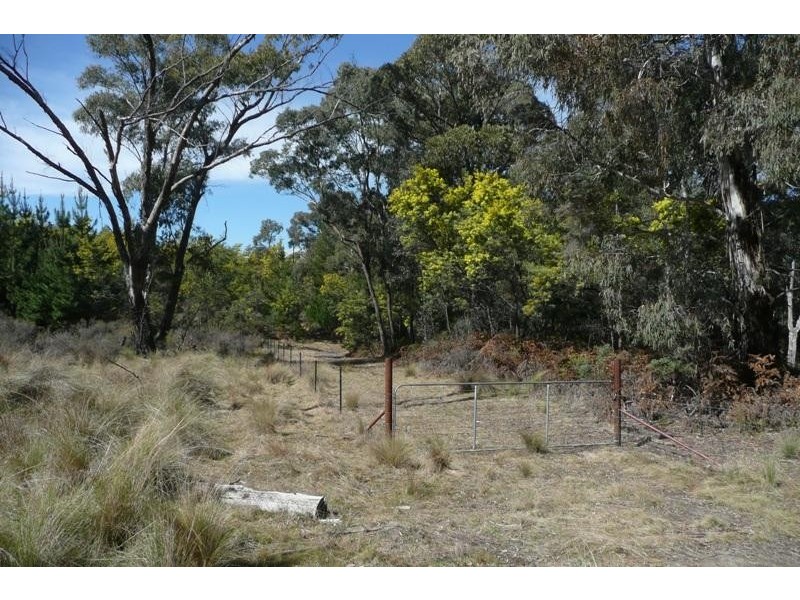 Orange NSW 2800
