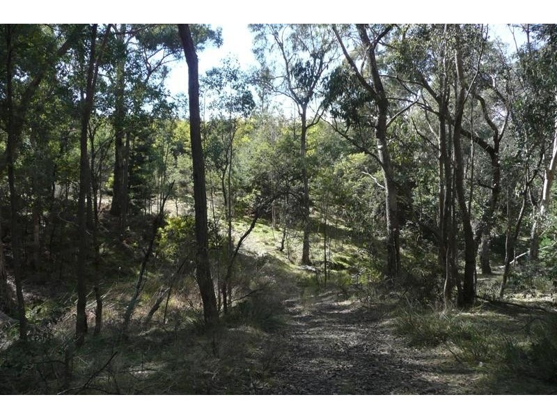 Orange NSW 2800