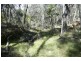 Orange NSW 2800