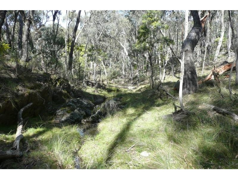 Orange NSW 2800