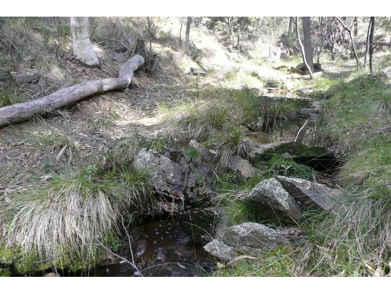 Orange NSW 2800