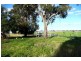 Orange NSW 2800