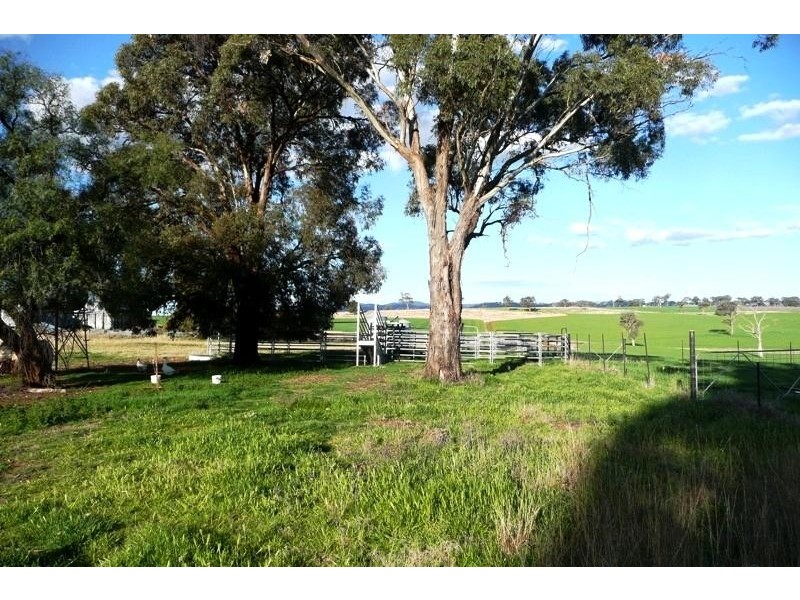Orange NSW 2800
