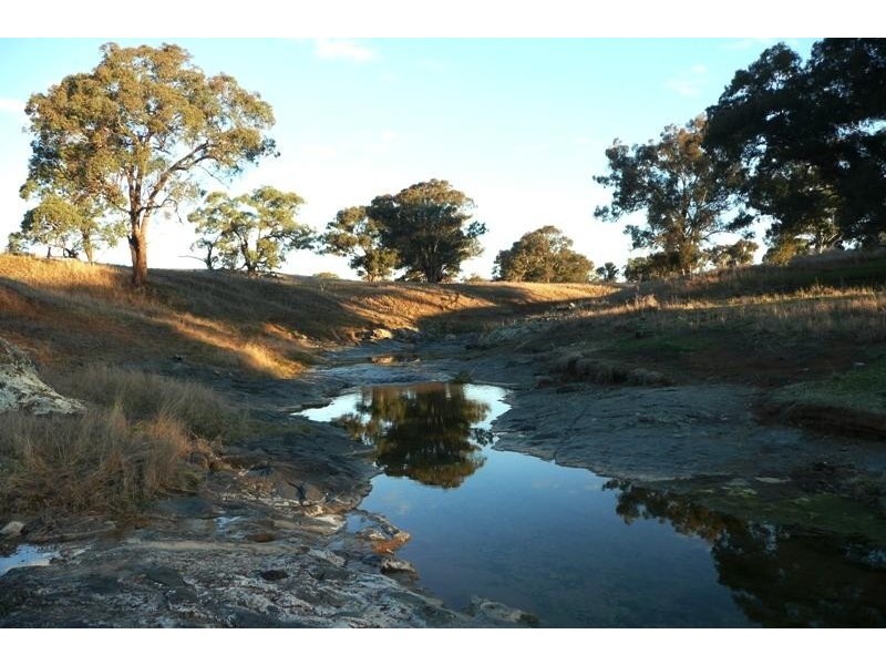 Orange NSW 2800