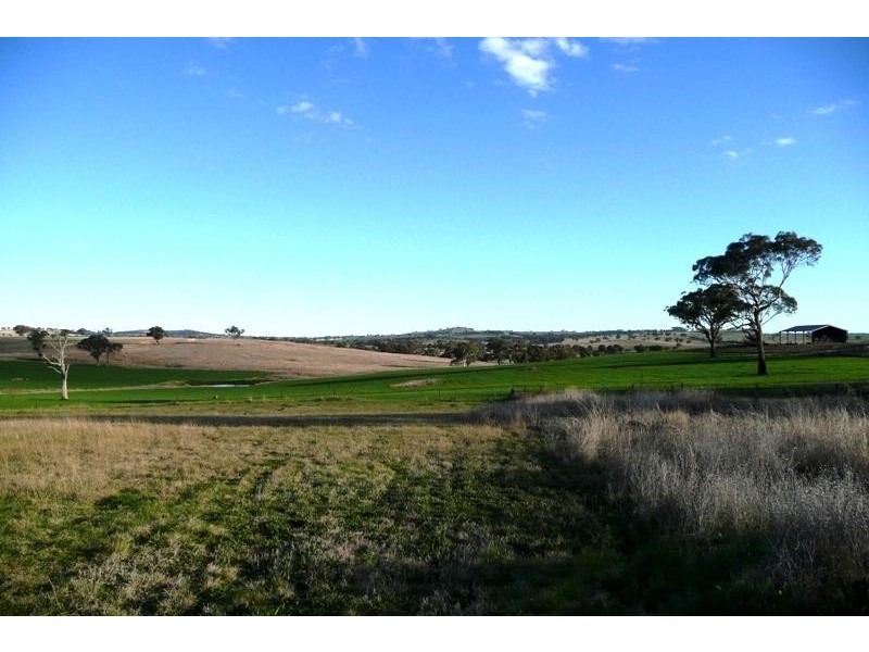 Orange NSW 2800