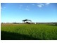 Orange NSW 2800