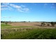 Orange NSW 2800
