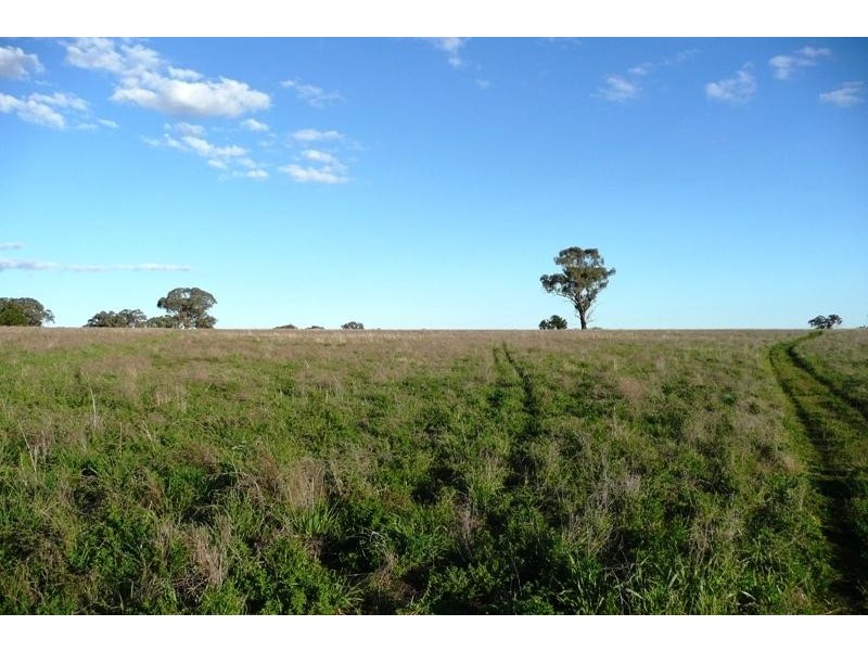Orange NSW 2800
