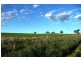 Orange NSW 2800