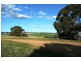 Orange NSW 2800