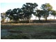 Orange NSW 2800