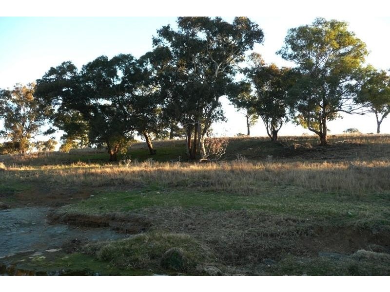 Orange NSW 2800