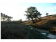 Orange NSW 2800