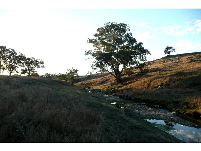 Orange NSW 2800