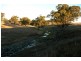 Orange NSW 2800