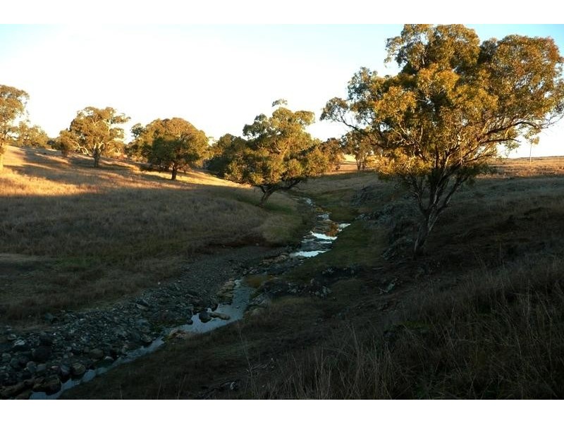 Orange NSW 2800