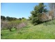 Orange NSW 2800
