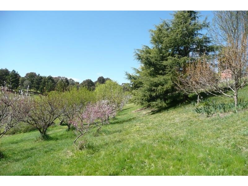 Orange NSW 2800
