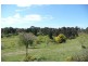 Orange NSW 2800
