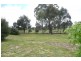 Orange NSW 2800
