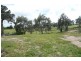 Orange NSW 2800