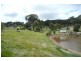Orange NSW 2800