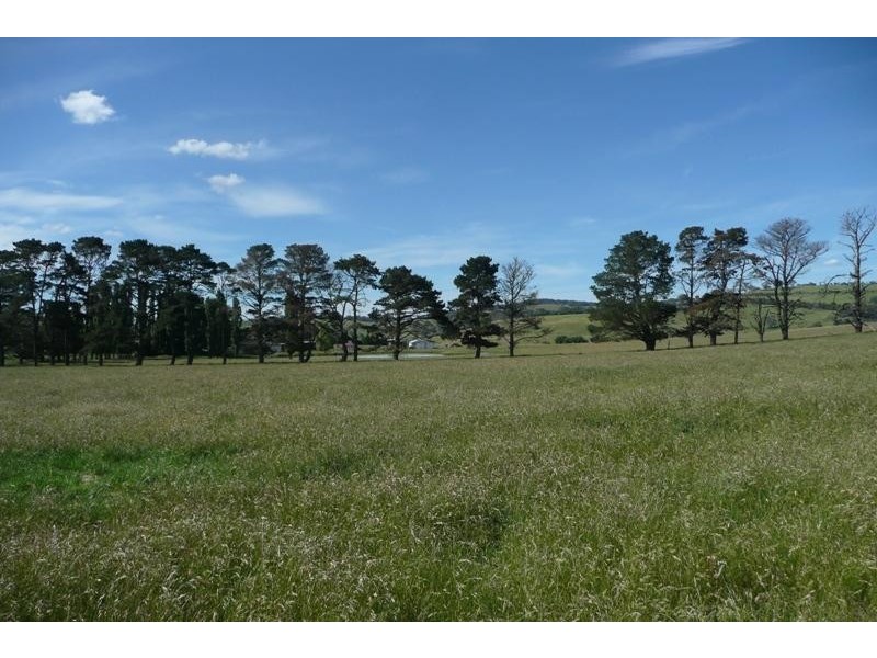 Orange NSW 2800