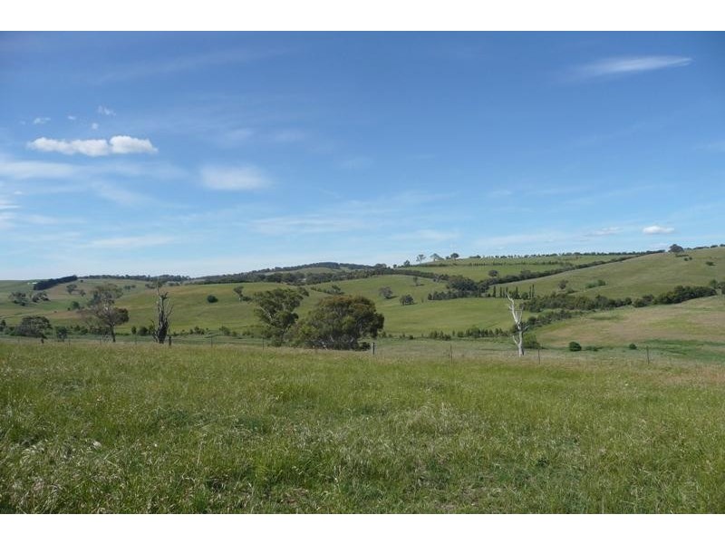 Orange NSW 2800