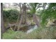 Borenore NSW 2800