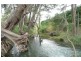 Borenore NSW 2800