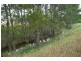Borenore NSW 2800