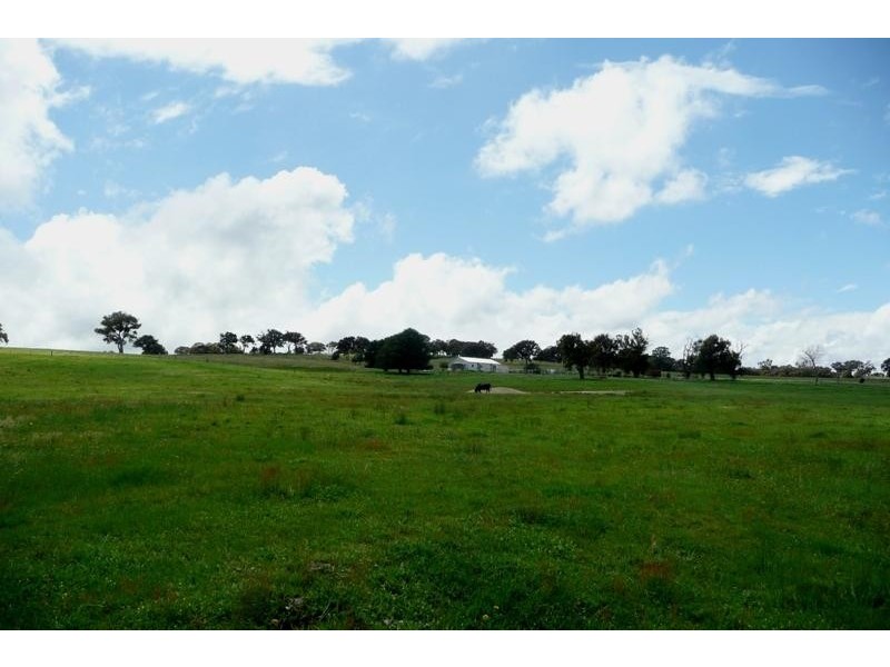 Orange NSW 2800
