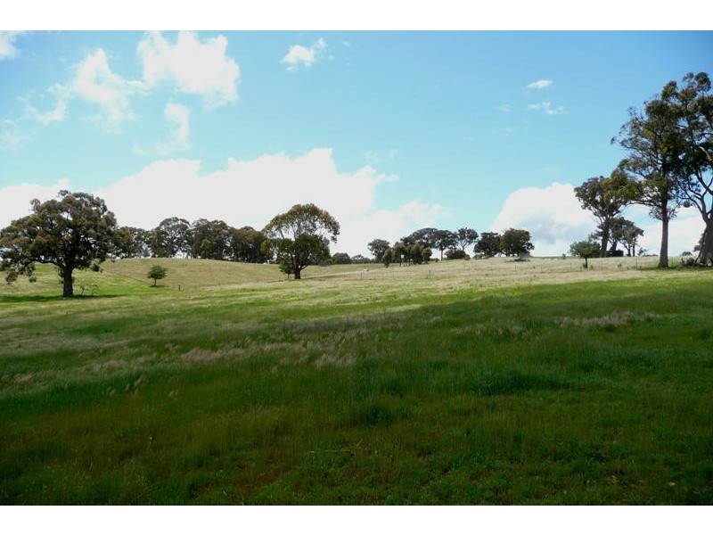 Orange NSW 2800