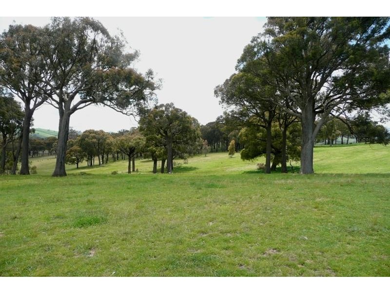 Orange NSW 2800