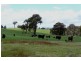 Orange NSW 2800